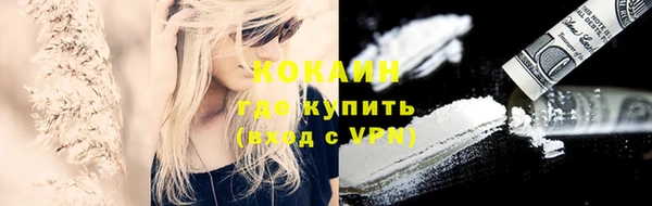 молекула духа Алексин