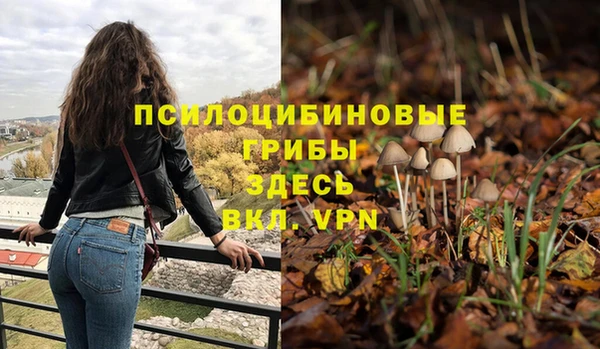 молекула духа Алексин