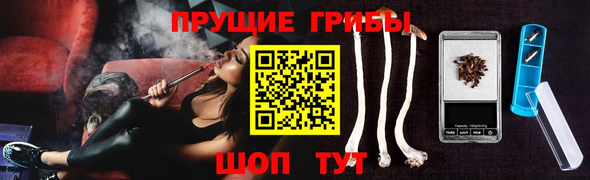 Санкт-Петербург  Псилоцибиновые грибы Cubensis  Вход с VPN 